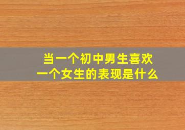 当一个初中男生喜欢一个女生的表现是什么