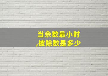 当余数最小时,被除数是多少