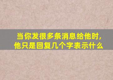 当你发很多条消息给他时,他只是回复几个字表示什么