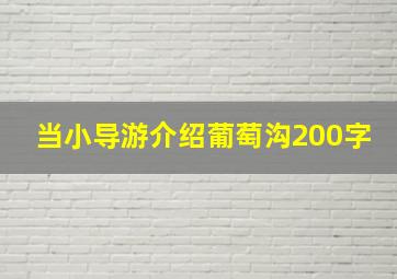 当小导游介绍葡萄沟200字