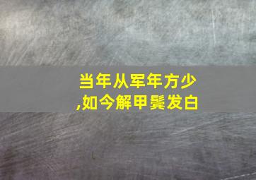 当年从军年方少,如今解甲鬓发白