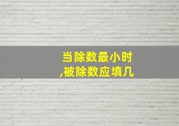 当除数最小时,被除数应填几