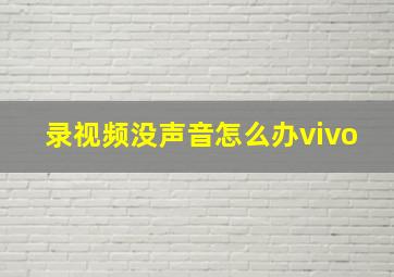 录视频没声音怎么办vivo