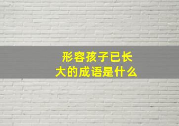 形容孩子已长大的成语是什么