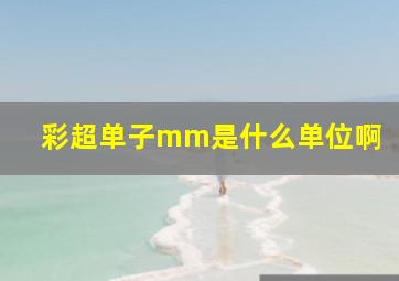 彩超单子mm是什么单位啊