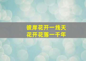 彼岸花开一线天花开花落一千年