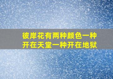 彼岸花有两种颜色一种开在天堂一种开在地狱