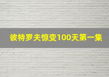 彼特罗夫惊变100天第一集