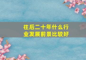 往后二十年什么行业发展前景比较好