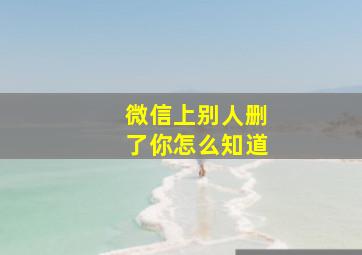 微信上别人删了你怎么知道