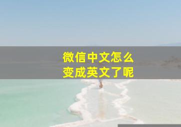 微信中文怎么变成英文了呢