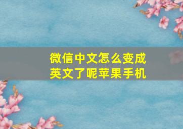 微信中文怎么变成英文了呢苹果手机