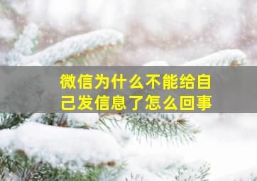 微信为什么不能给自己发信息了怎么回事