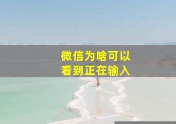 微信为啥可以看到正在输入