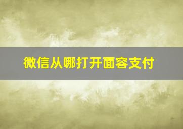 微信从哪打开面容支付