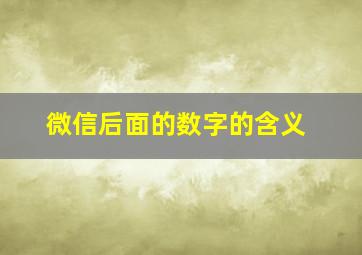 微信后面的数字的含义