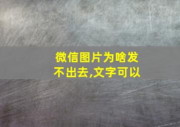 微信图片为啥发不出去,文字可以