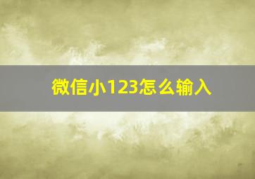 微信小123怎么输入