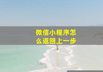 微信小程序怎么返回上一步