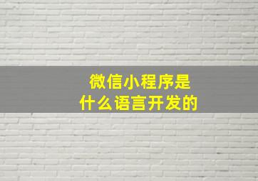 微信小程序是什么语言开发的