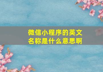 微信小程序的英文名称是什么意思啊