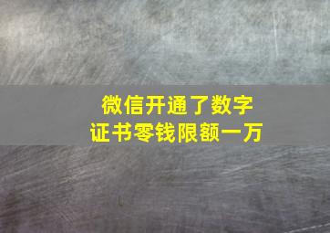 微信开通了数字证书零钱限额一万