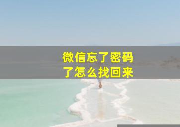 微信忘了密码了怎么找回来