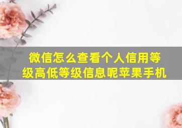 微信怎么查看个人信用等级高低等级信息呢苹果手机