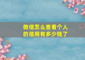 微信怎么查看个人的信用有多少钱了