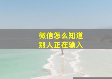 微信怎么知道别人正在输入