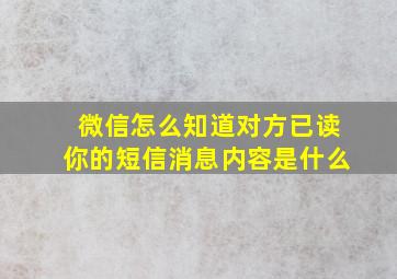 微信怎么知道对方已读你的短信消息内容是什么