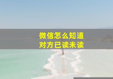 微信怎么知道对方已读未读