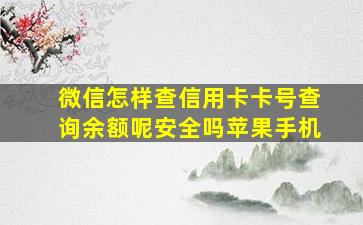 微信怎样查信用卡卡号查询余额呢安全吗苹果手机