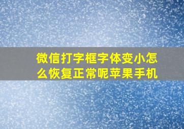 微信打字框字体变小怎么恢复正常呢苹果手机