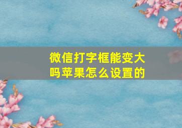 微信打字框能变大吗苹果怎么设置的