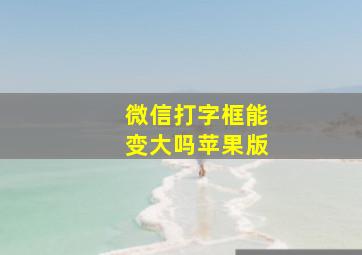 微信打字框能变大吗苹果版