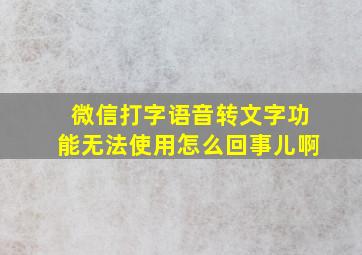 微信打字语音转文字功能无法使用怎么回事儿啊