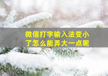 微信打字输入法变小了怎么能弄大一点呢