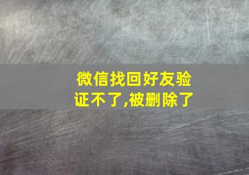 微信找回好友验证不了,被删除了