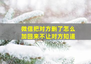 微信把对方删了怎么加回来不让对方知道