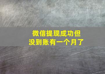 微信提现成功但没到账有一个月了