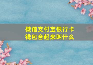 微信支付宝银行卡钱包合起来叫什么