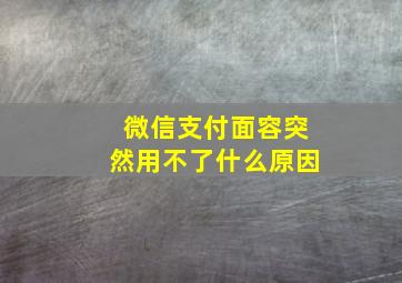 微信支付面容突然用不了什么原因