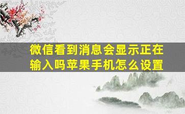 微信看到消息会显示正在输入吗苹果手机怎么设置