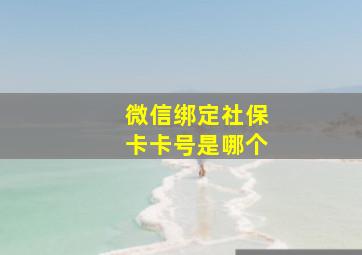 微信绑定社保卡卡号是哪个