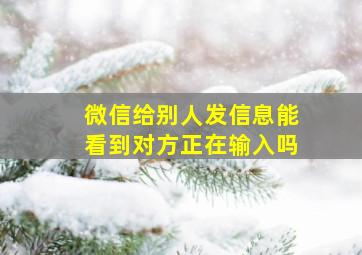 微信给别人发信息能看到对方正在输入吗