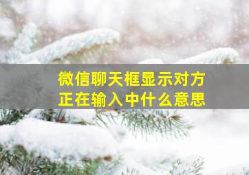 微信聊天框显示对方正在输入中什么意思