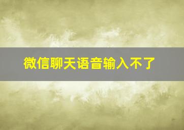 微信聊天语音输入不了