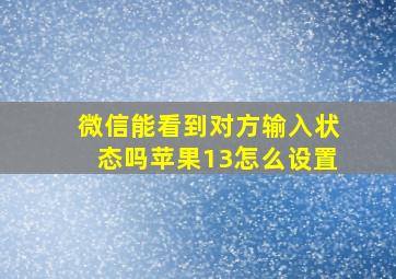 微信能看到对方输入状态吗苹果13怎么设置