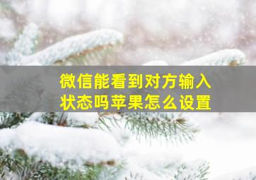 微信能看到对方输入状态吗苹果怎么设置